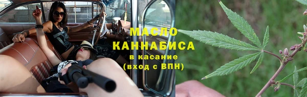 хмурый Ельня