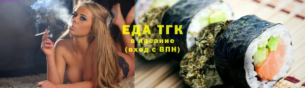 хмурый Ельня