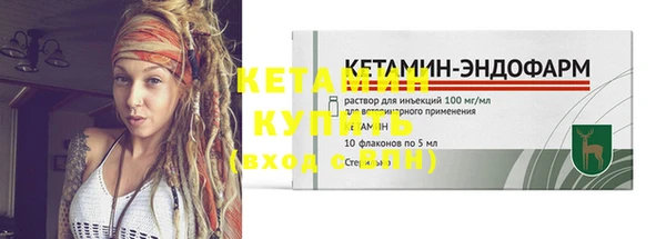 хмурый Ельня