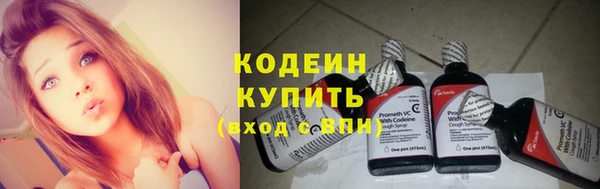 хмурый Ельня