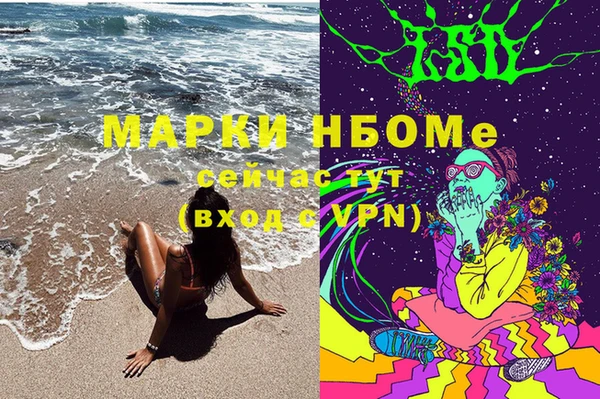 гашик Елабуга