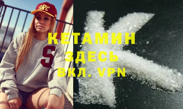 хмурый Ельня