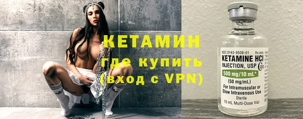 хмурый Ельня