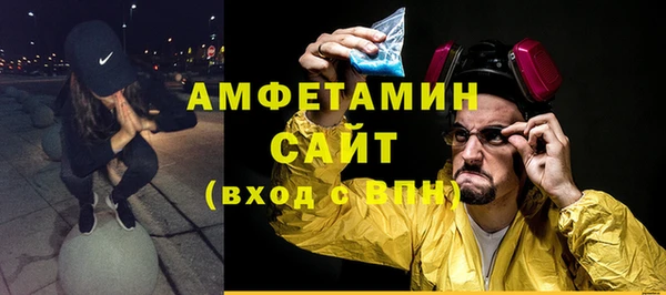 хмурый Ельня