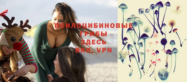 хмурый Ельня