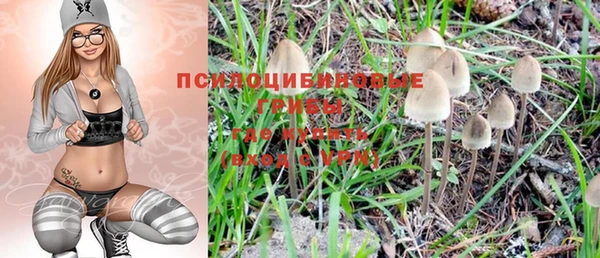 хмурый Ельня