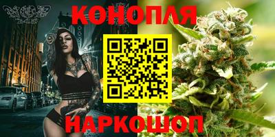 Альфа ПВП Гатчина