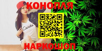 Альфа ПВП Гатчина