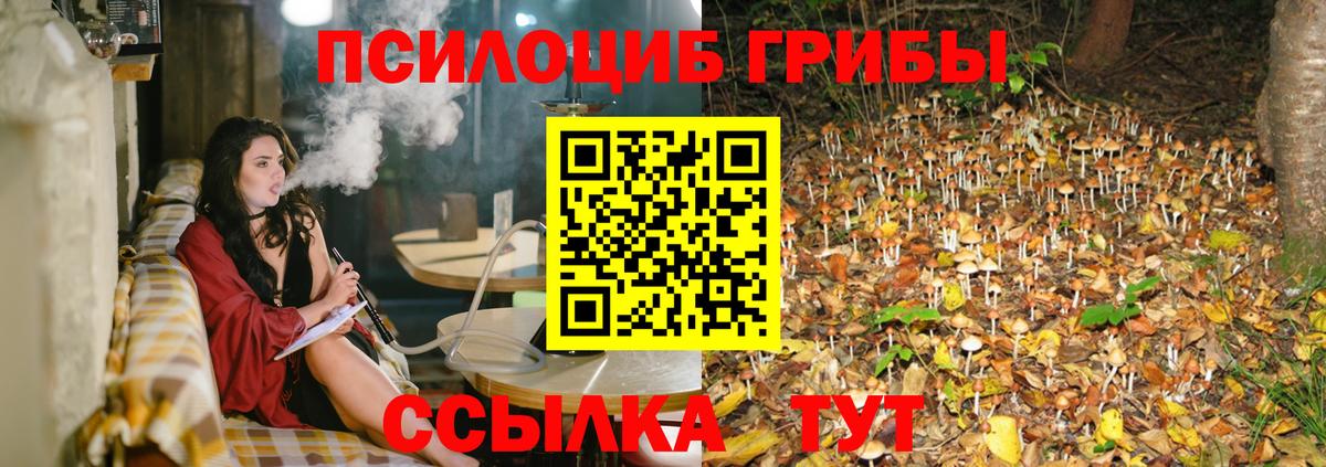 Галлюциногенные грибы GOLDEN TEACHER Россия