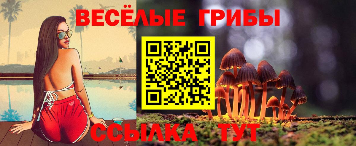 Россия  Галлюциногенные грибы Psilocybe  Псилоцибиновые грибы мухоморы  Вход с VPN 