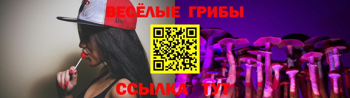 Галлюциногенные грибы Magic Shrooms Россия